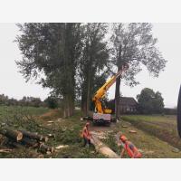 IMG 20191004 WA0004