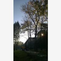 WP 20151002 005